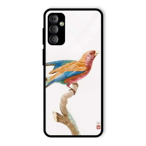 Beautiful Bird Glass Back Case for Galaxy F23