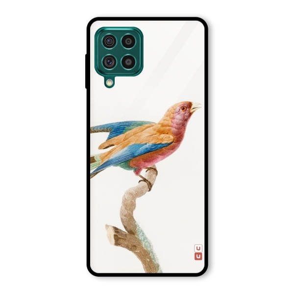 Beautiful Bird Glass Back Case for Galaxy F62