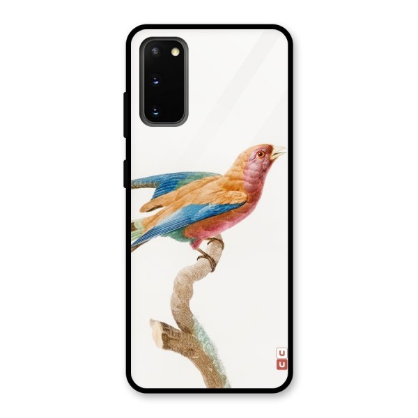 Beautiful Bird Glass Back Case for Galaxy S20