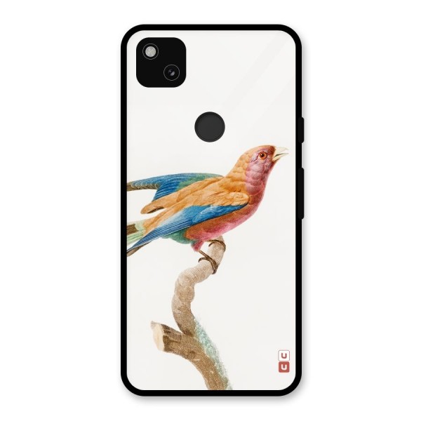 Beautiful Bird Glass Back Case for Google Pixel 4a