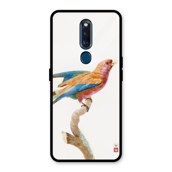 Beautiful Bird Glass Back Case for Oppo F11 Pro