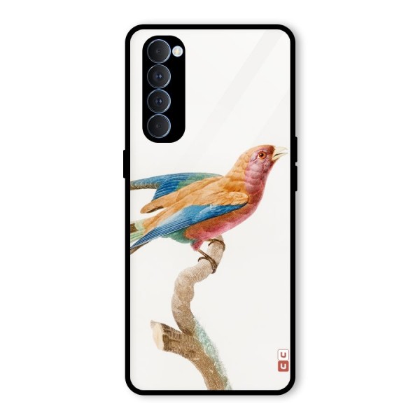 Beautiful Bird Glass Back Case for Oppo Reno4 Pro