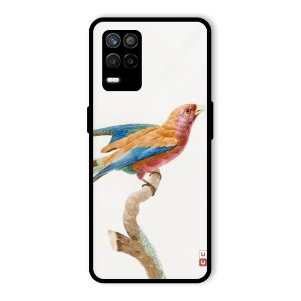 Beautiful Bird Glass Back Case for Realme 9 5G