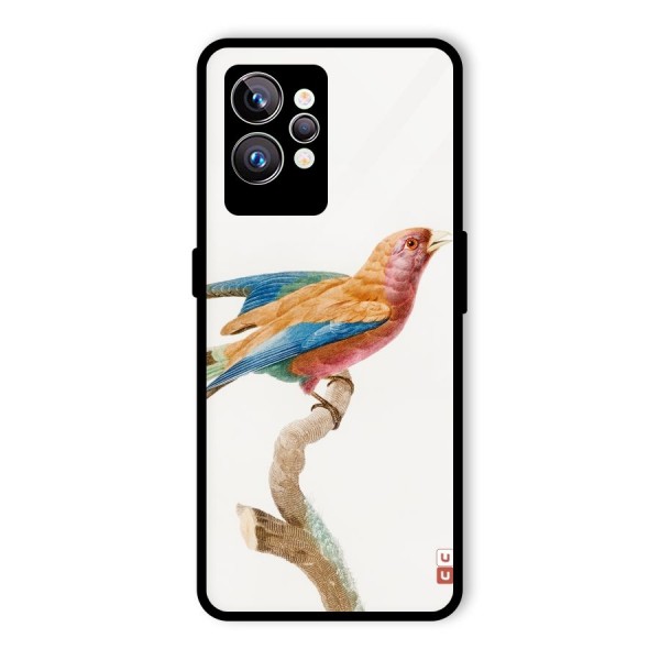 Beautiful Bird Glass Back Case for Realme GT2 Pro