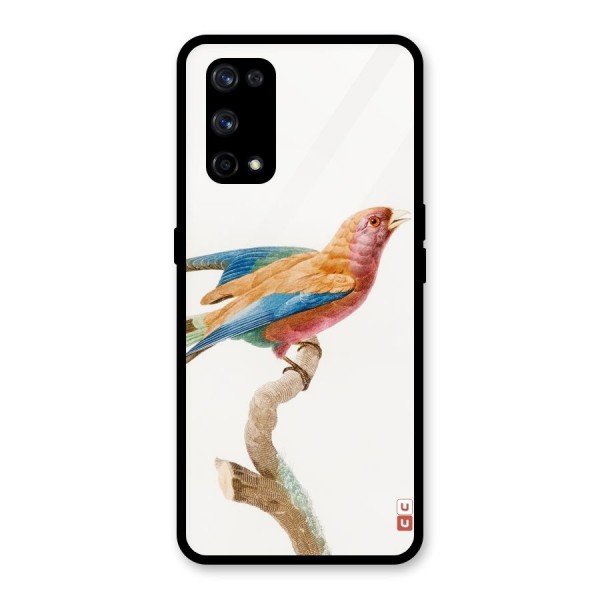 Beautiful Bird Glass Back Case for Realme X7 Pro