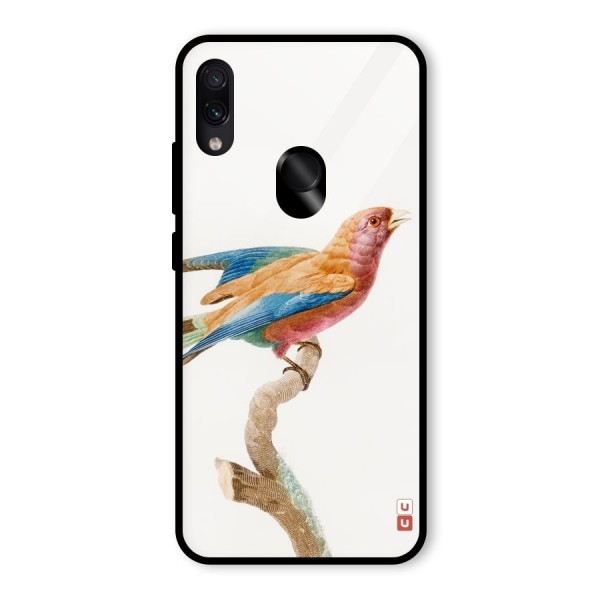 Beautiful Bird Glass Back Case for Redmi Note 7