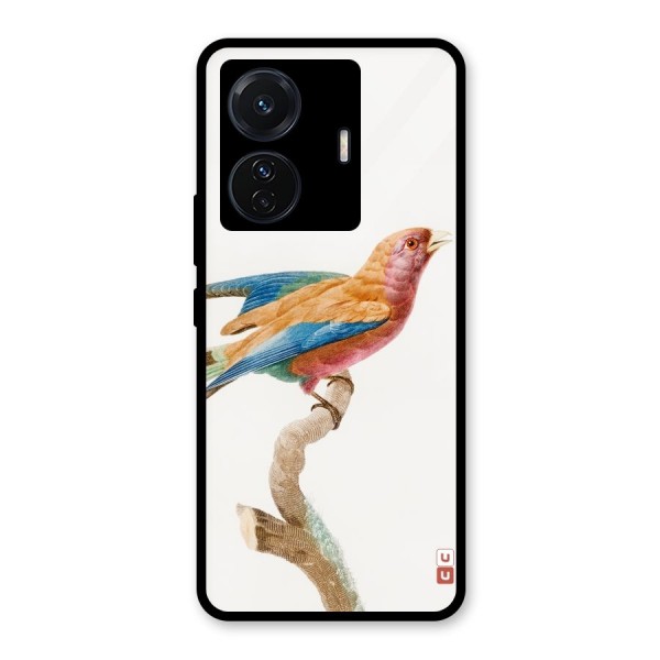 Beautiful Bird Glass Back Case for Vivo T1 Pro