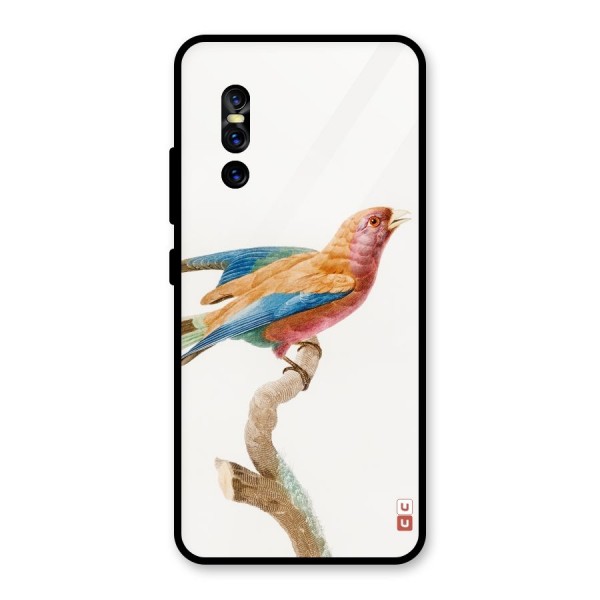 Beautiful Bird Glass Back Case for Vivo V15 Pro