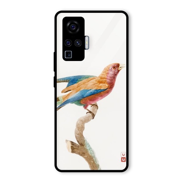 Beautiful Bird Glass Back Case for Vivo X50 Pro