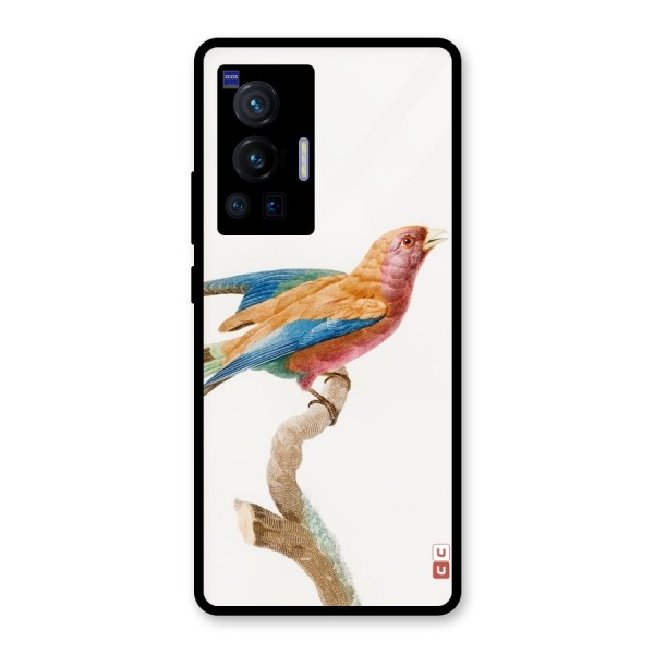 Beautiful Bird Glass Back Case for Vivo X70 Pro