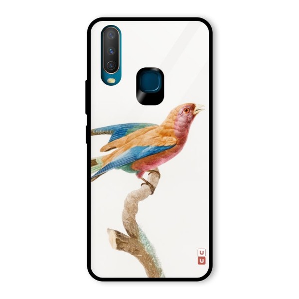 Beautiful Bird Glass Back Case for Vivo Y12