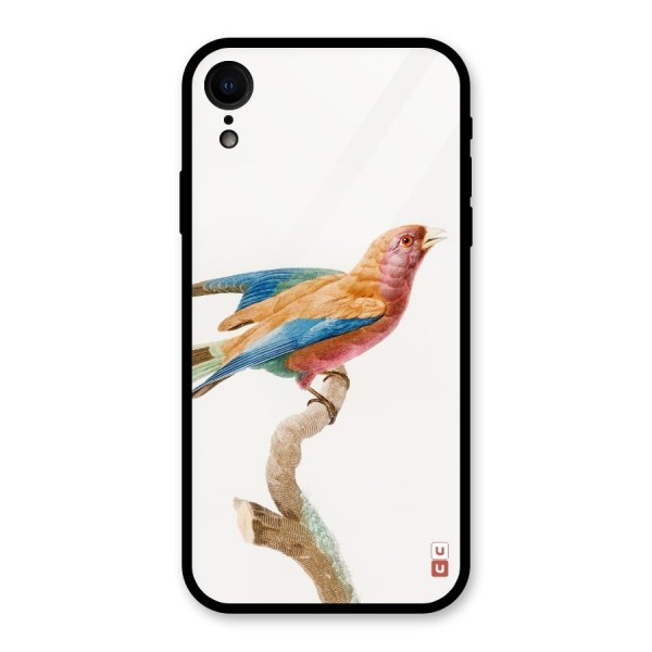 Beautiful Bird Glass Back Case for XR