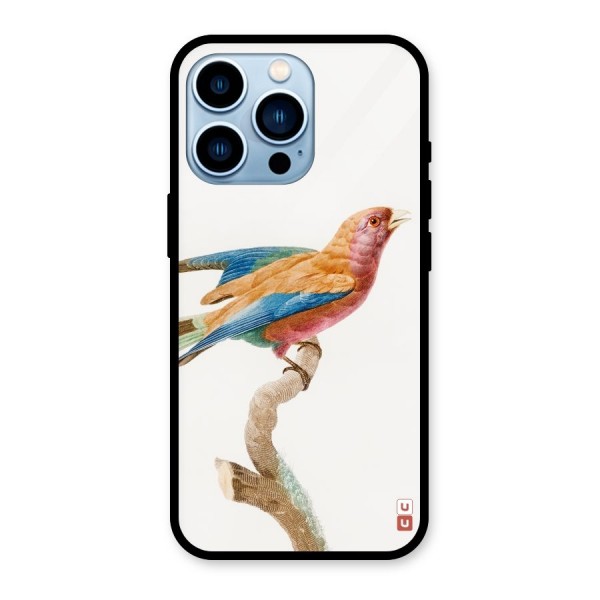 Beautiful Bird Glass Back Case for iPhone 13 Pro