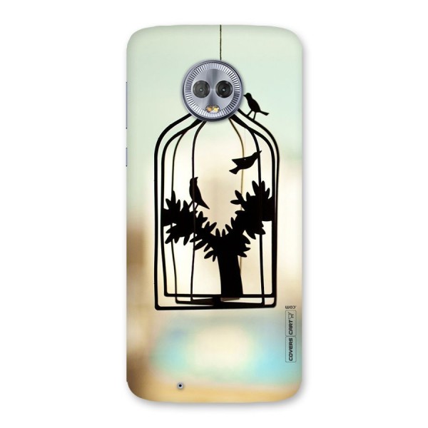 Beautiful Pegion Cage Back Case for Moto G6