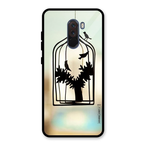 Beautiful Pegion Cage Glass Back Case for Poco F1