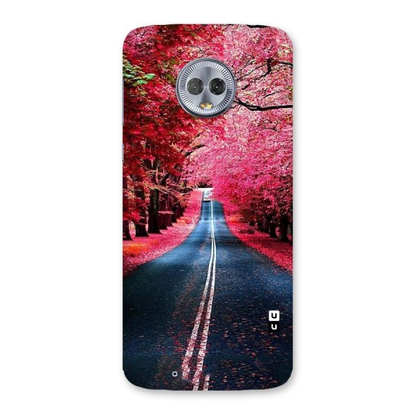 Beautiful Red Trees Back Case for Moto G6