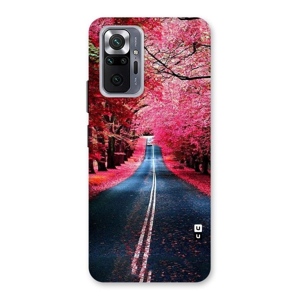 Beautiful Red Trees Back Case for Redmi Note 10 Pro
