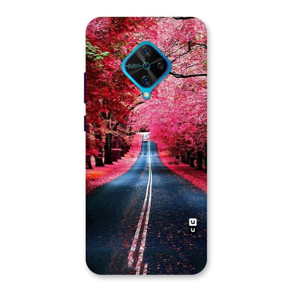 Beautiful Red Trees Back Case for Vivo S1 Pro