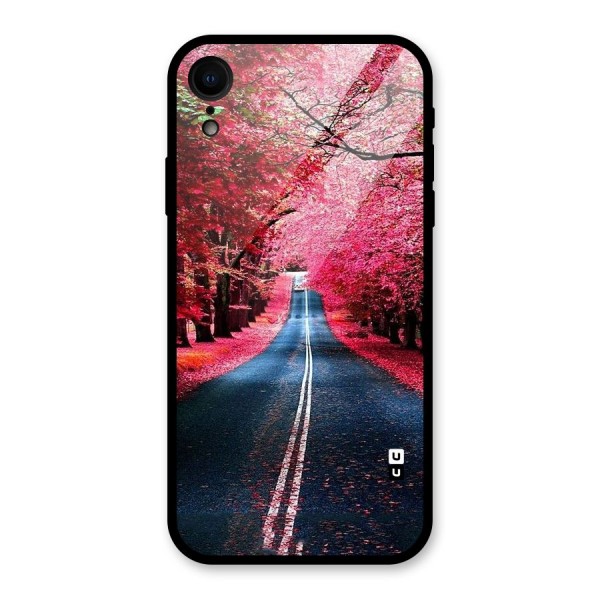 Beautiful Red Trees Glass Back Case for XR