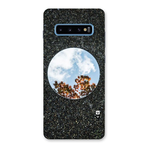 Beautiful Sky Leaves Back Case for Galaxy S10 Plus