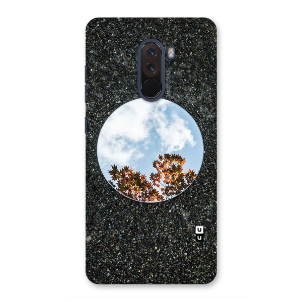 Beautiful Sky Leaves Back Case for Poco F1