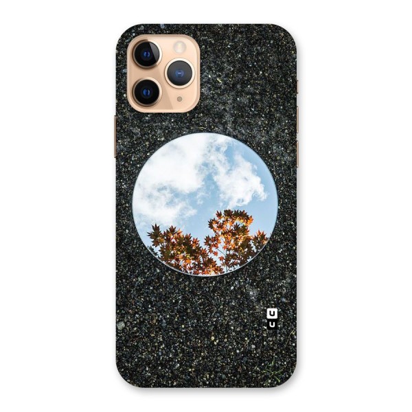 Beautiful Sky Leaves Back Case for iPhone 11 Pro