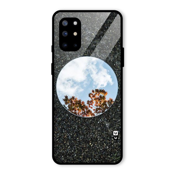 Beautiful Sky Leaves Glass Back Case for OnePlus 8T