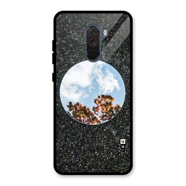 Beautiful Sky Leaves Glass Back Case for Poco F1