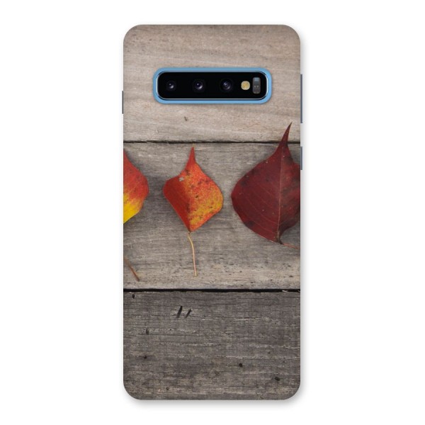 Beautiful Wood Leafs Back Case for Galaxy S10