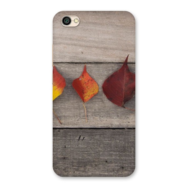 Beautiful Wood Leafs Back Case for Redmi Y1 Lite