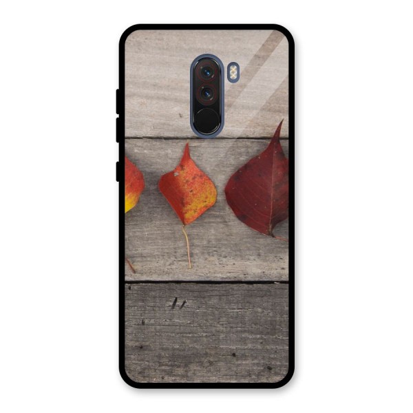 Beautiful Wood Leafs Glass Back Case for Poco F1