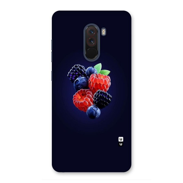 Berry Blast Back Case for Poco F1