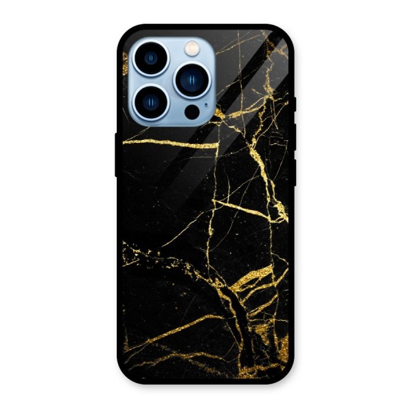 Black And Gold Design Glass Back Case for iPhone 13 Pro