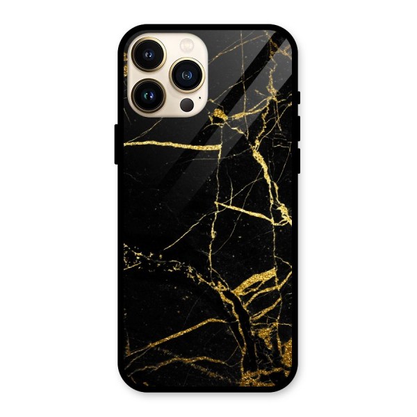 Black And Gold Design Glass Back Case for iPhone 13 Pro Max