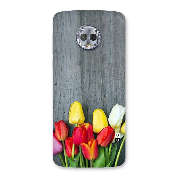 Bloom Grey Back Case for Moto G6