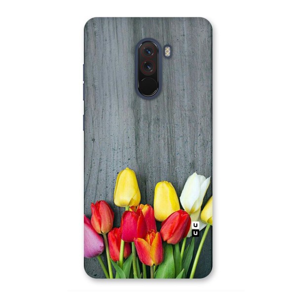 Bloom Grey Back Case for Poco F1