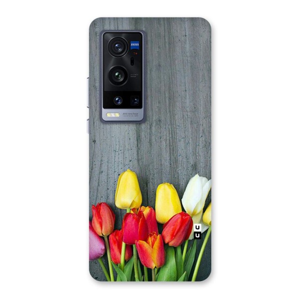 Bloom Grey Back Case for Vivo X60 Pro Plus