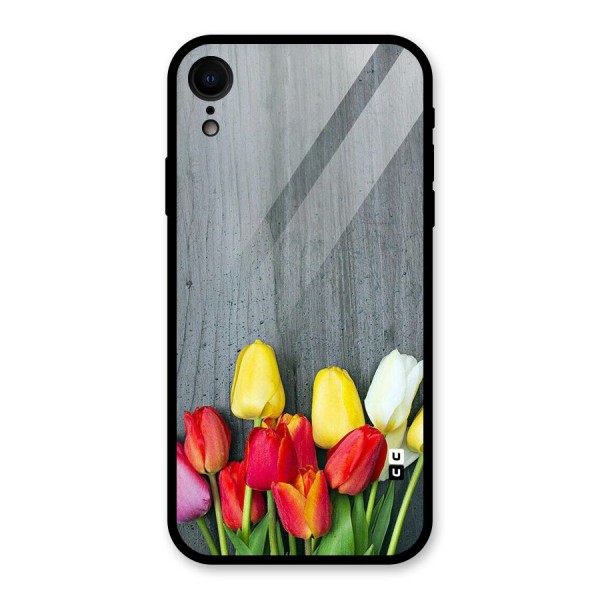 Bloom Grey Glass Back Case for XR