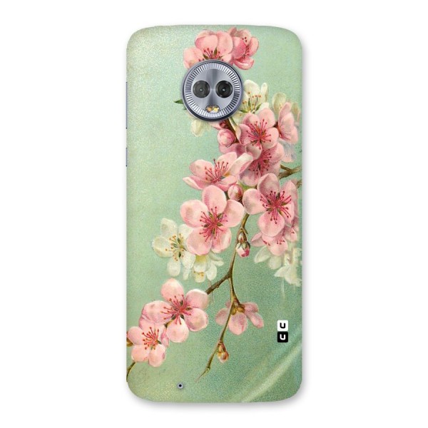 Blossom Cherry Design Back Case for Moto G6