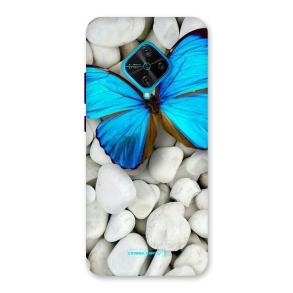 Blue Butterfly Back Case for Vivo S1 Pro