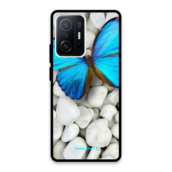 Blue Butterfly Glass Back Case for Xiaomi 11T Pro