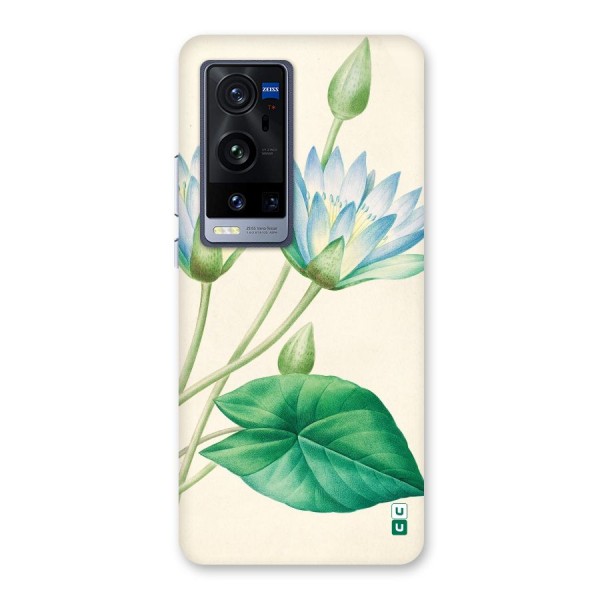 Blue Lotus Back Case for Vivo X60 Pro Plus