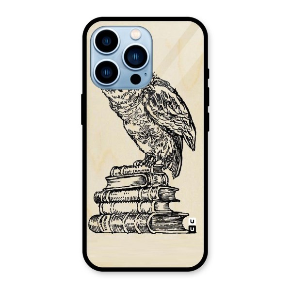 Book Owl Glass Back Case for iPhone 13 Pro