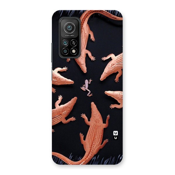 Brave Frog Back Case for Mi 10T Pro 5G