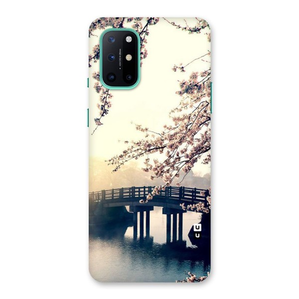 Bridge Blossom Back Case for OnePlus 8T