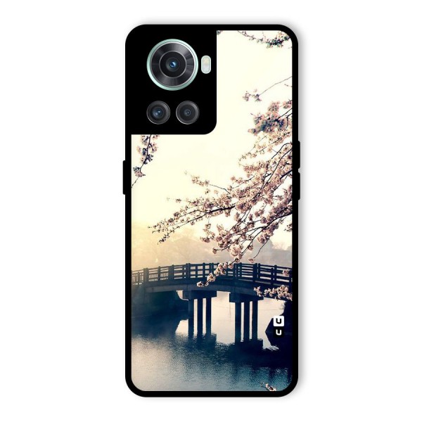 Bridge Blossom Glass Back Case for OnePlus 10R