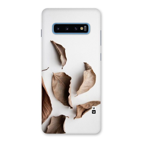 Brown Dusty Leaves Back Case for Galaxy S10 Plus