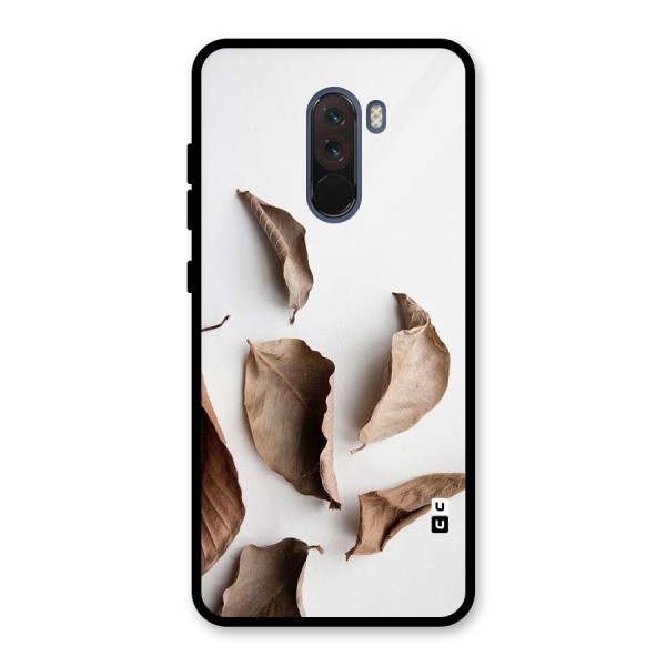 Brown Dusty Leaves Glass Back Case for Poco F1