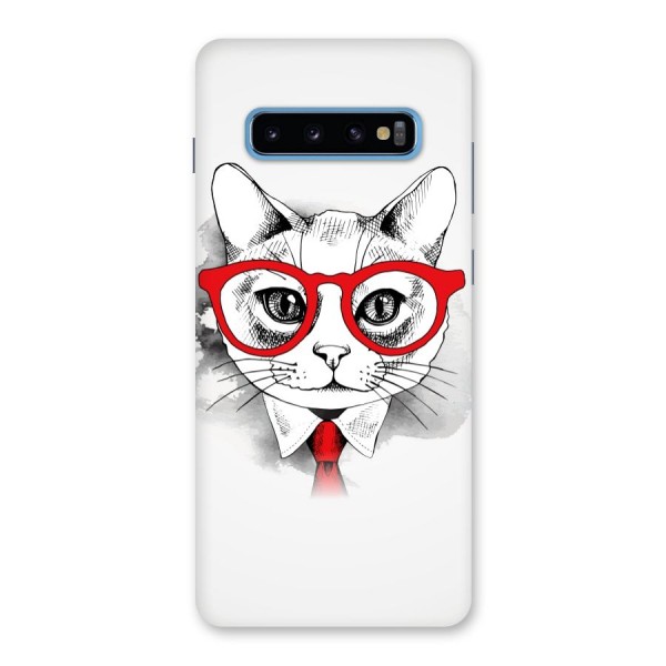 Business Cat Back Case for Galaxy S10 Plus