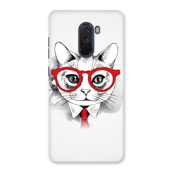 Business Cat Back Case for Poco F1